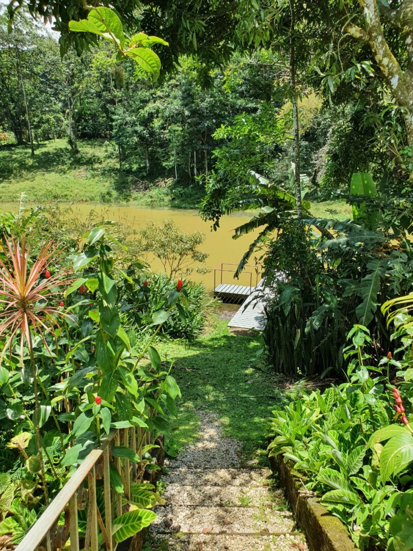 Unique 2 bedroom home with private spring fed pond Moran Real Estate