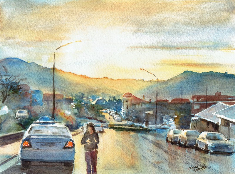 Highgate, Dunedin David Corballis Moray Gallery Dunedin