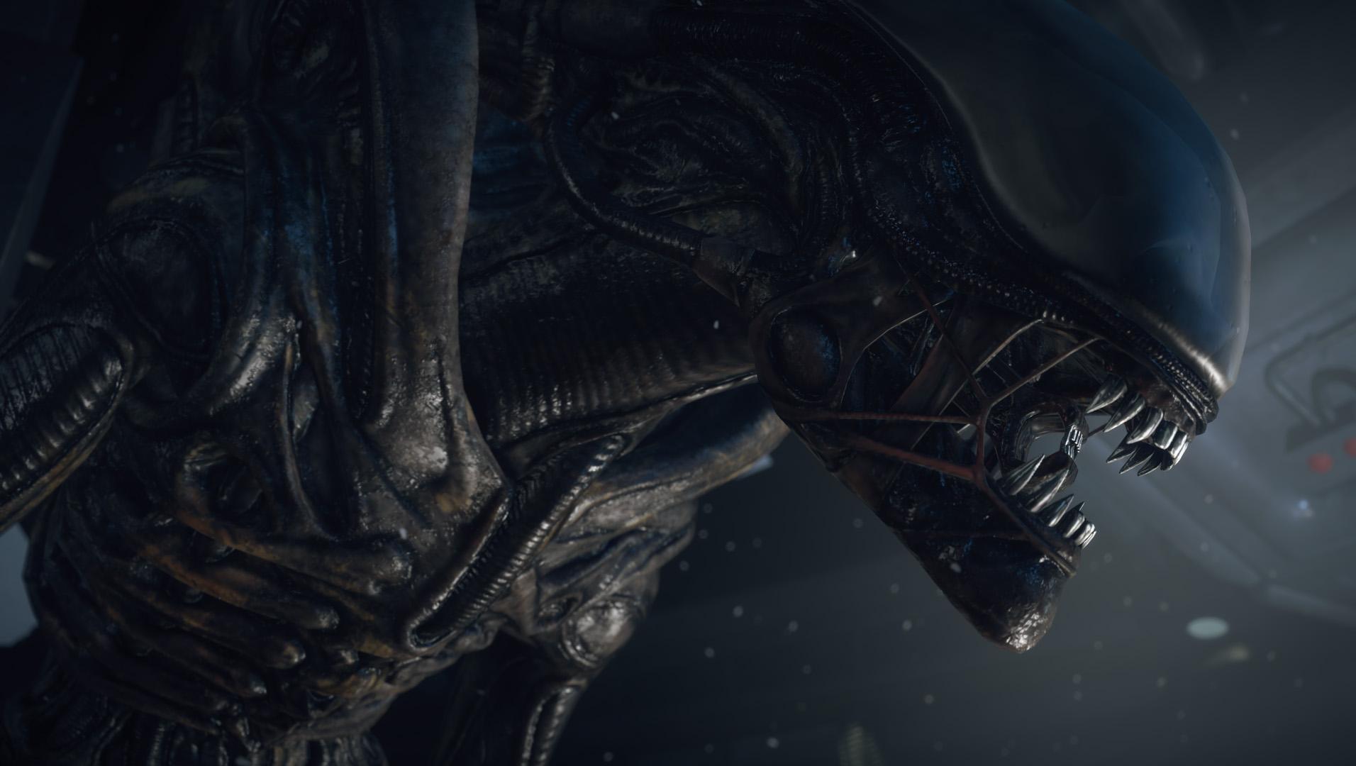 Big News for 'Alien' Fans: Alien Day and New Shots From 'Alien Covenant' - Morbidly Beautiful