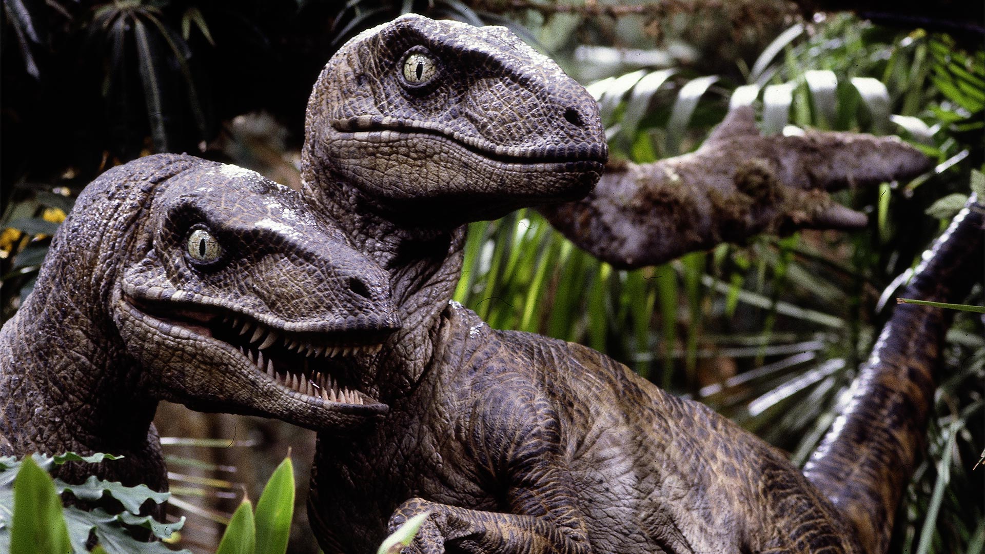 Celebrating 30 Years of “Jurassic Park” - Morbidly Beautiful