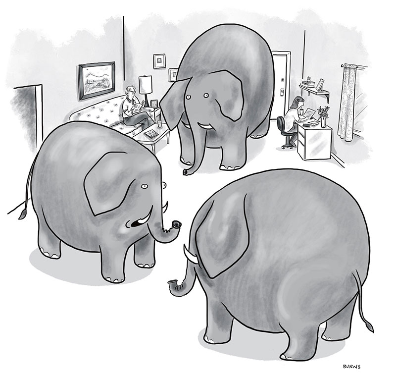 “Elephants in the Room” Caption Contest Commentary with Lawrence Wood