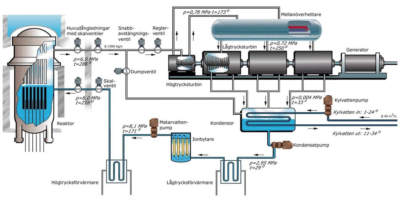 Boiling water reactor (BWR)