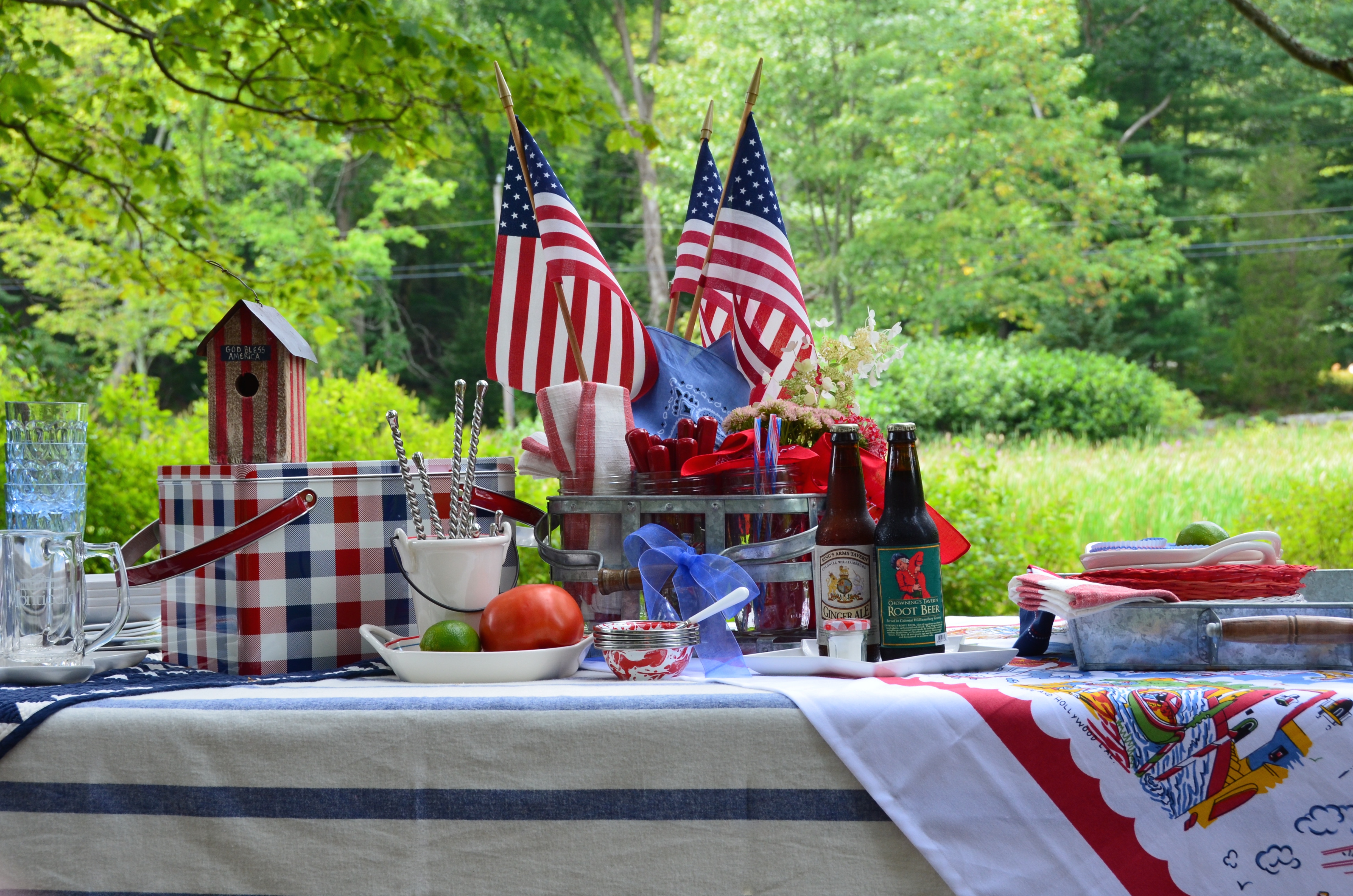 red white and blue picnic blanket