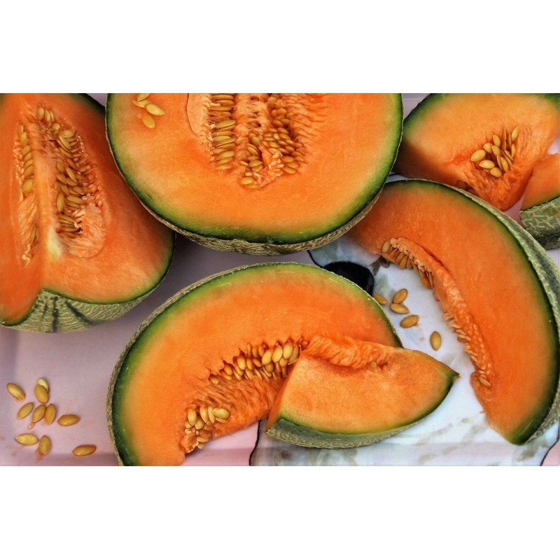 MELON LA PIECE