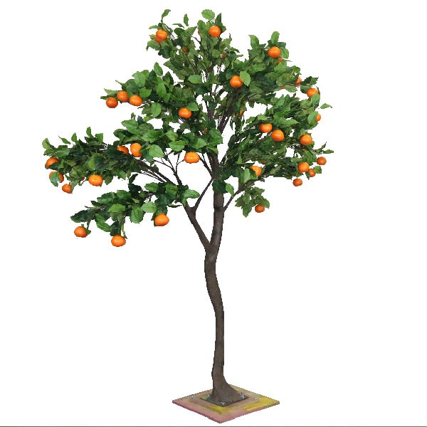 3m Orange Tree More Production Ltd