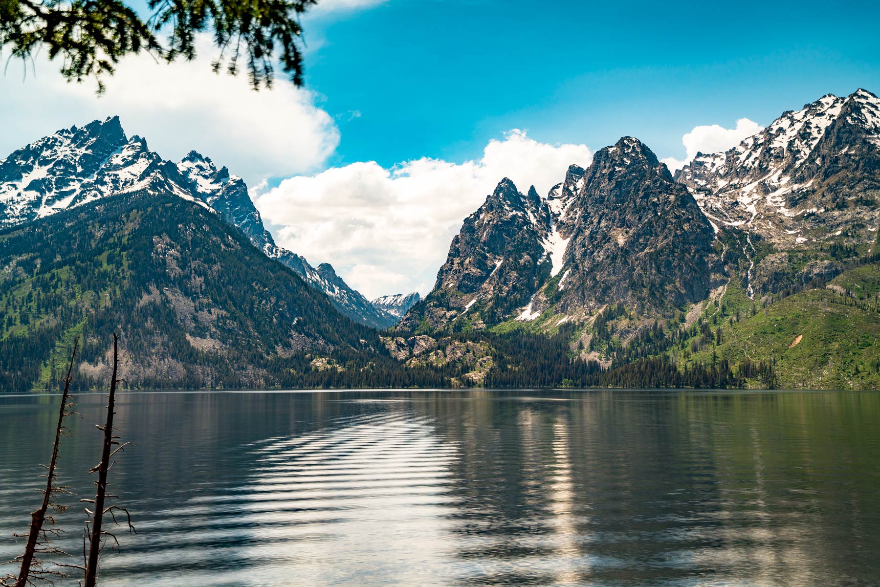 Phelps Lake Expert Tips on Grand Teton's Stunning Alpine Lake