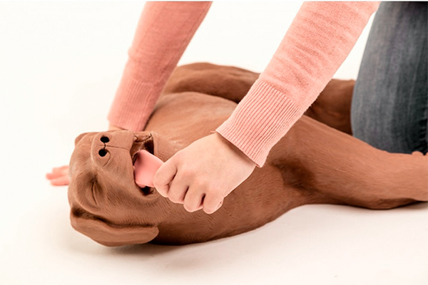 CASPER CPR DOG More Than Simulators
