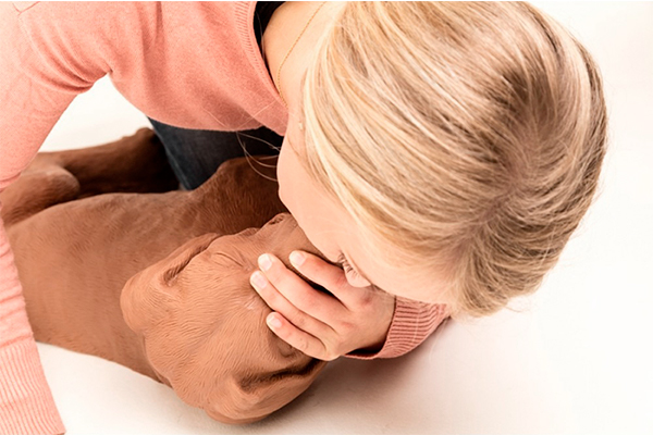 CASPER CPR DOG More Than Simulators