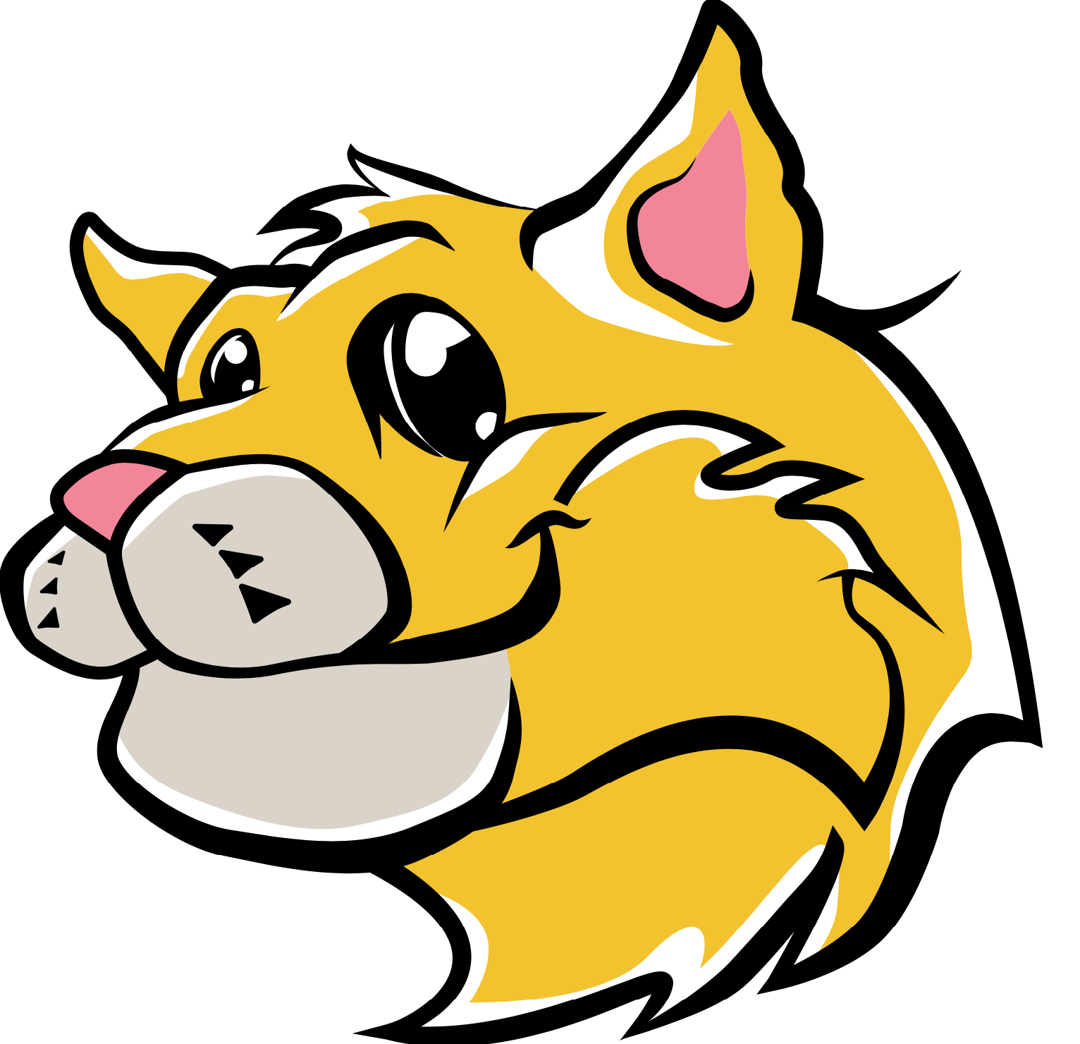 Moretown School Library