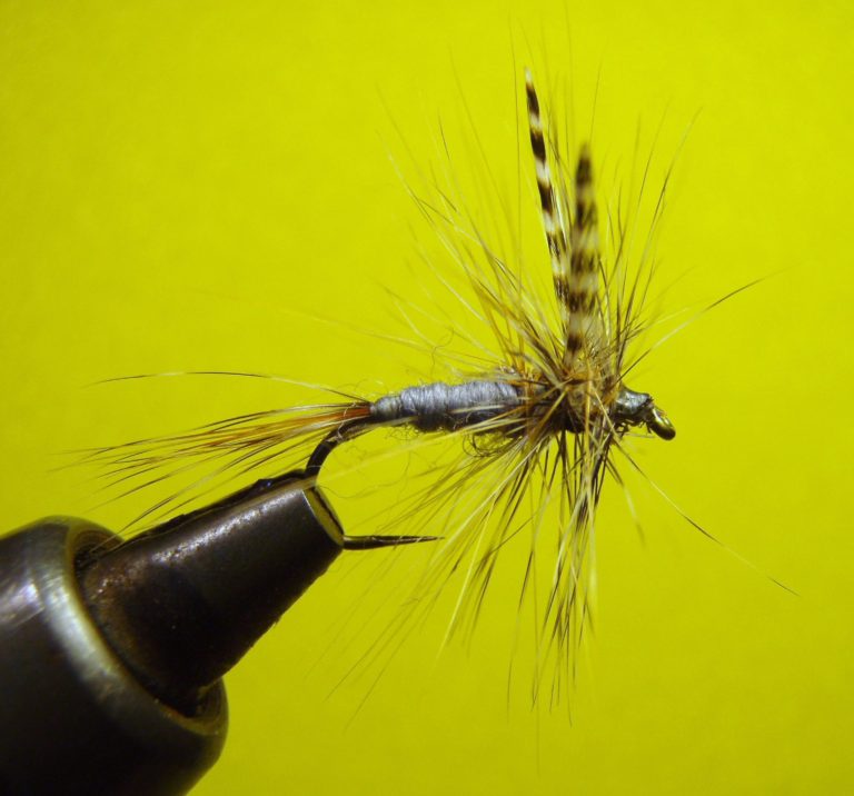 Does Catch and Release Hurt The Fish? More Trout
