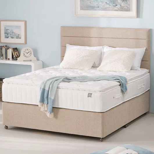 King Koil Spinal Pocket Pillow Top Mattress Doyles