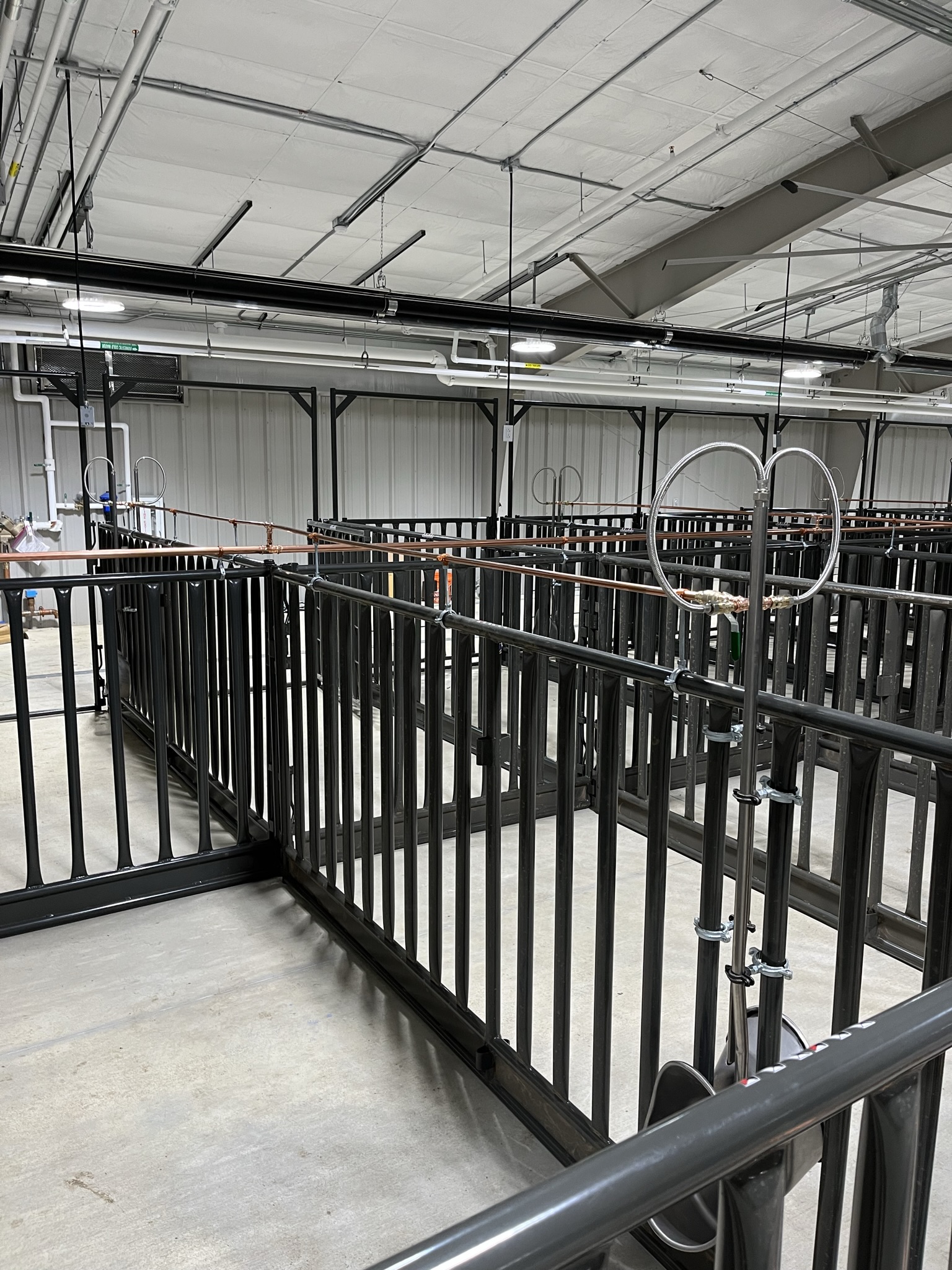 For Schools Livestock Equipment