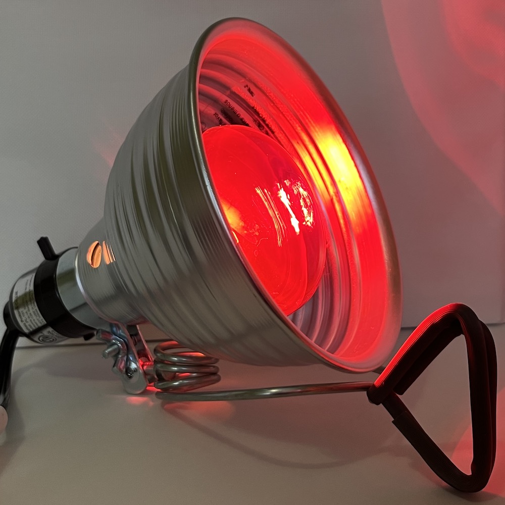 Small Animal Heat Lamp, 75 Watt Infrared Bulb Included ⋆