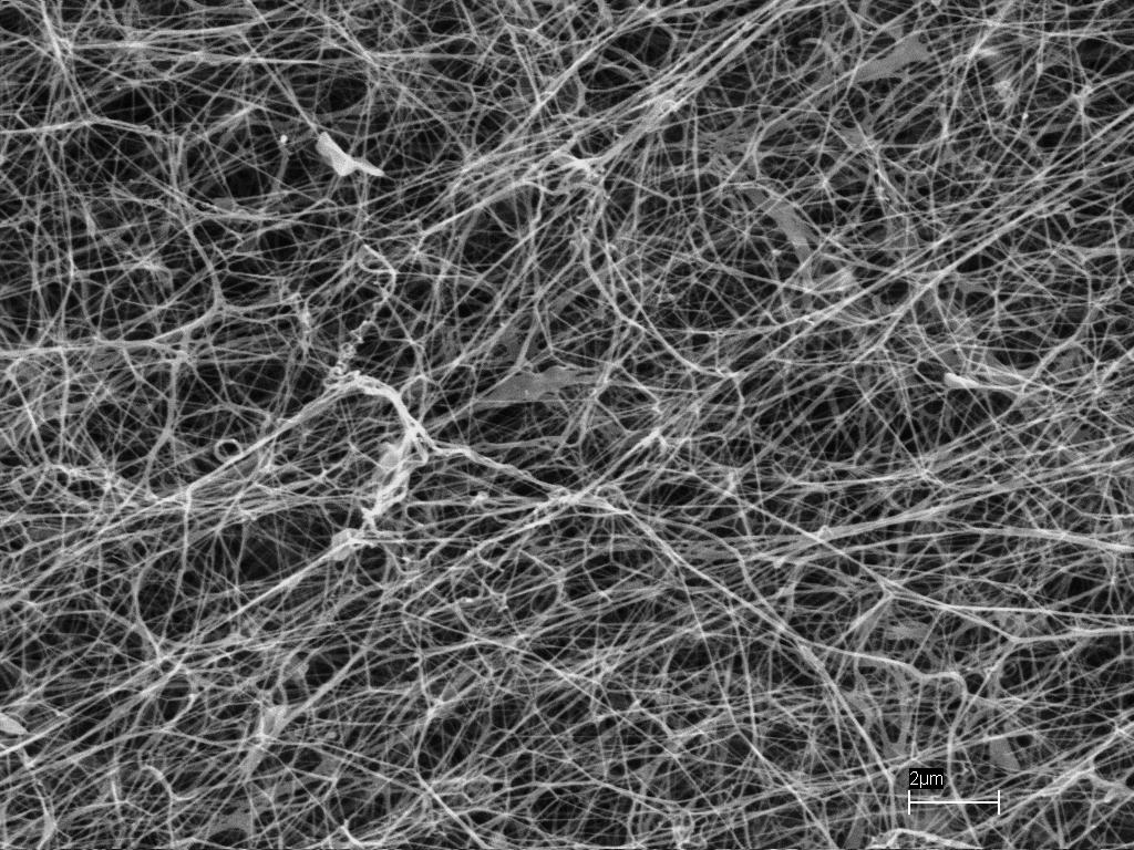 Agrobacterium and Cellulose Fibers or Cotton? Watch
