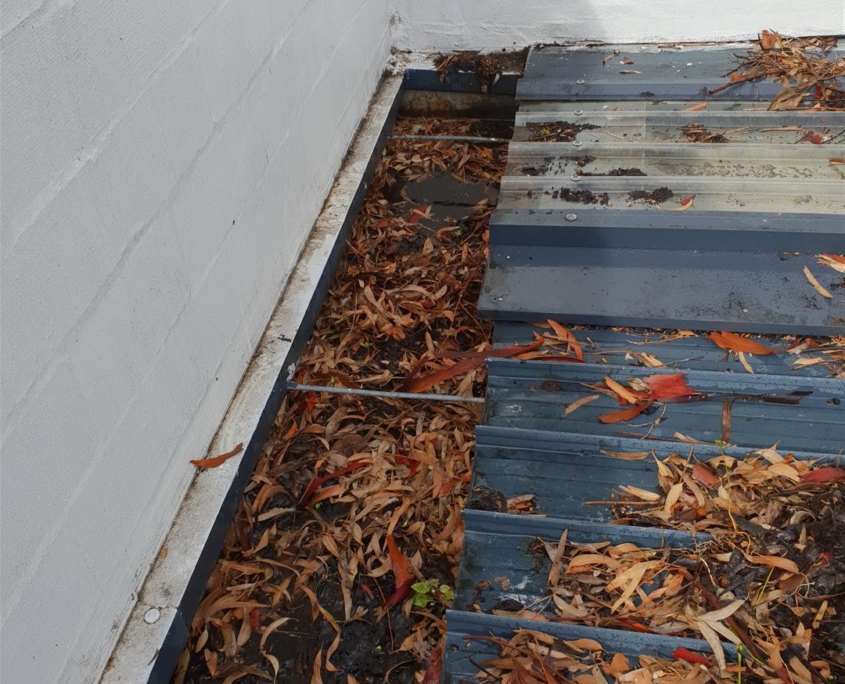 How often should you clean your roof, and why?