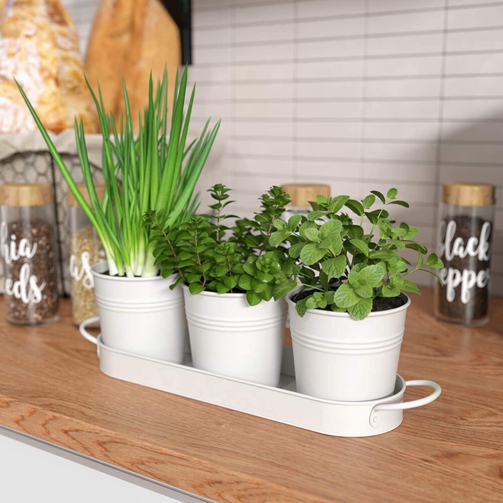 Enchanting Planter FIKA Set Of 4 ( 3 Pots +1 Tub) New MORii