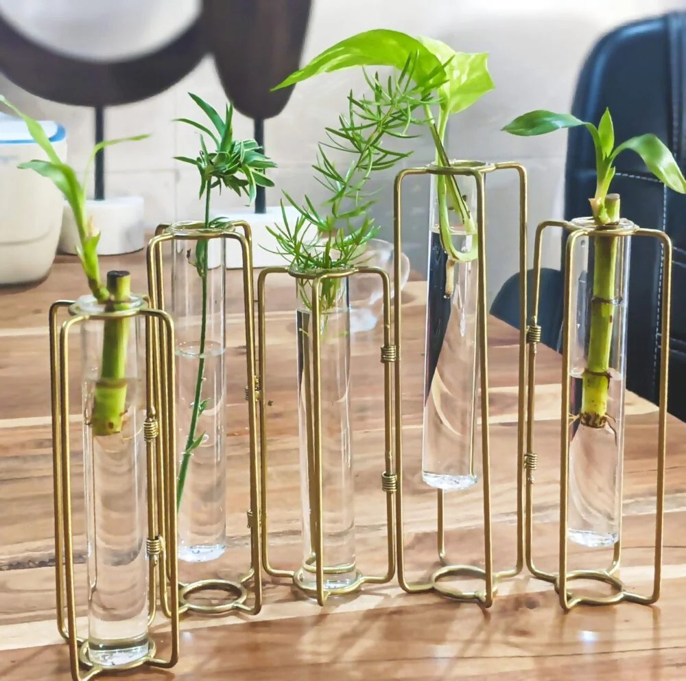 Exclusive Metal / Glass Test Tube Planter Set Of 5 Test Tubes MORii