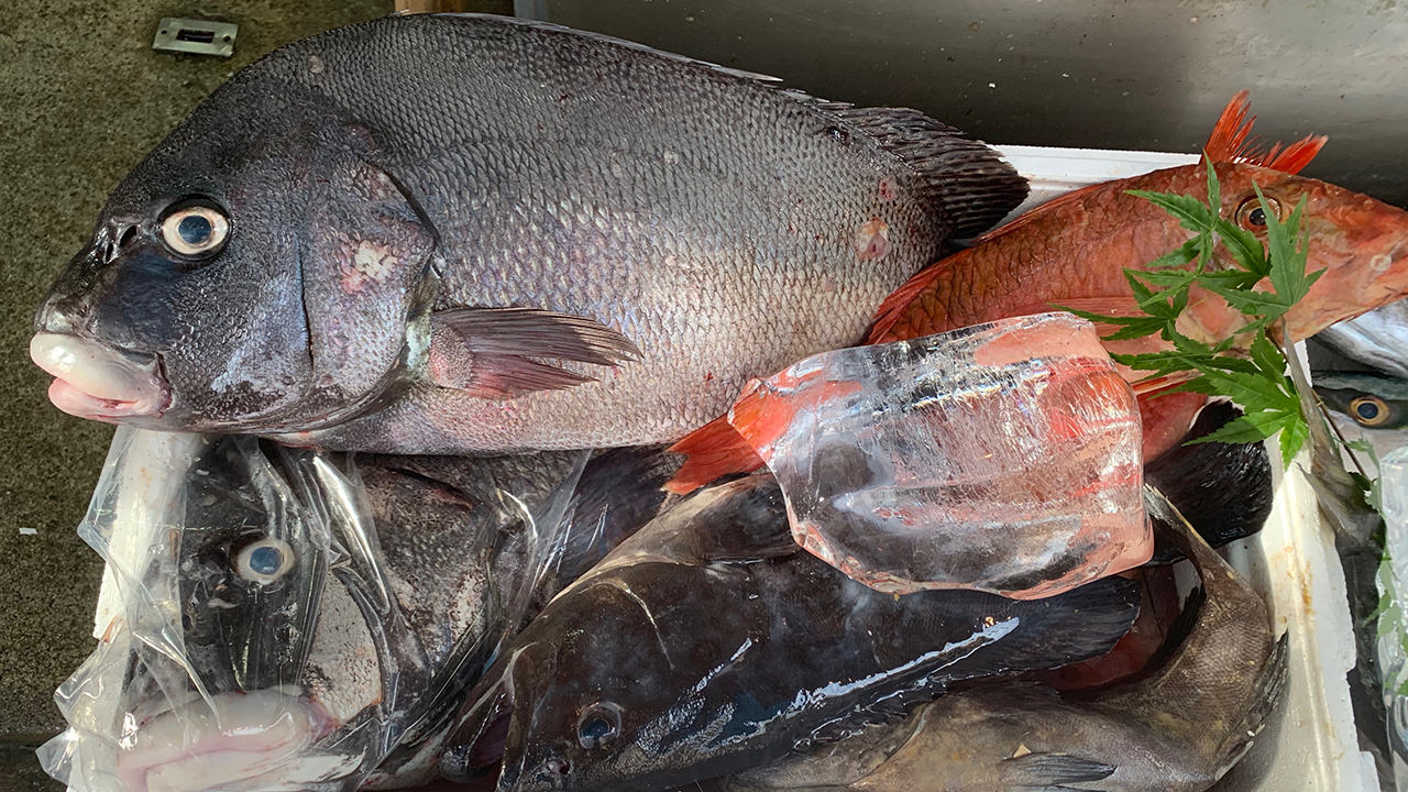 新宿「魚よし」に行ってきた 森川眞行のブログ