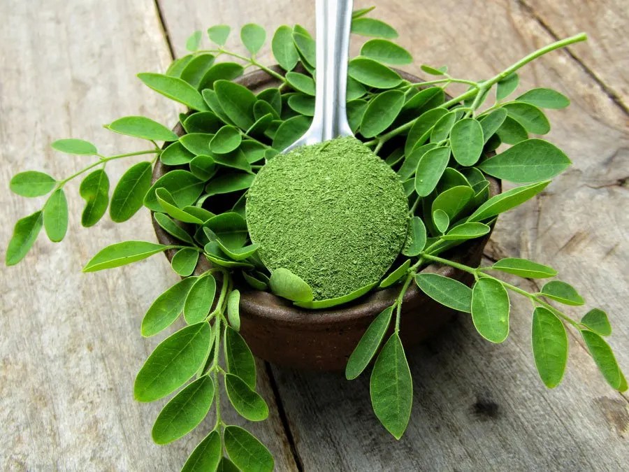 MoringaO2 Hair Care Regimen Moringa O²