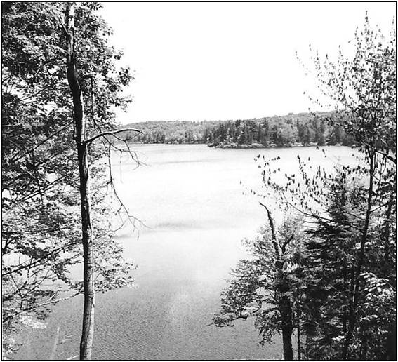 Blue Hills of MorinHeights A hidden jewel in the heart of nature