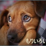 飲み会で遅くなるとお嫁さんが不機嫌に！相手の気持ちを知るには？
