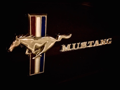 Mustang insignia details