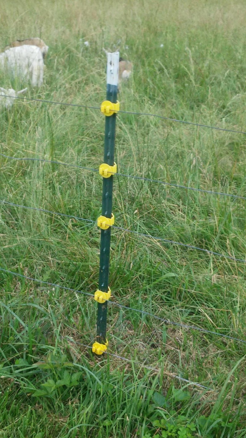How to Install an Effective Electric Fence in 8 Simple Steps