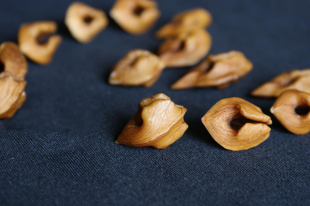 Growing Heartnut Trees How to Plant and Raise Heartnuts