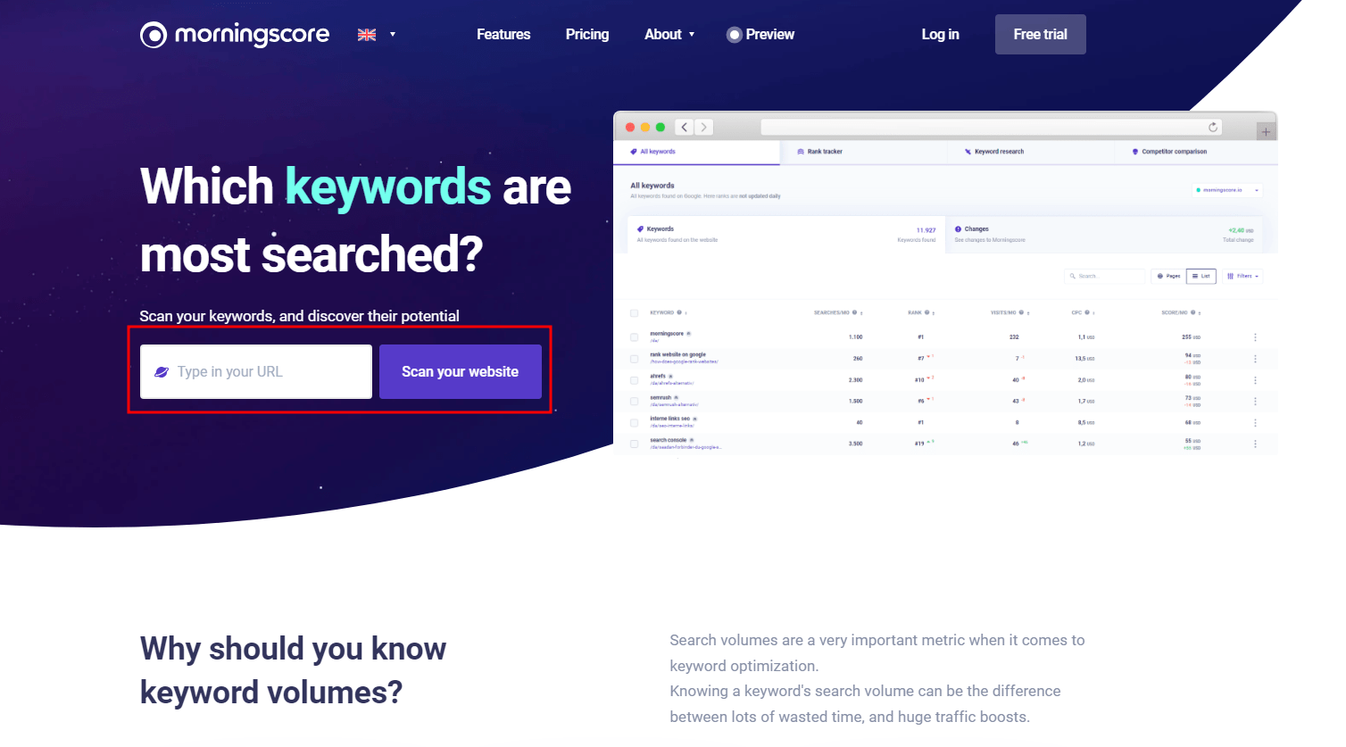 Find keyword search volumes It's easy with Morningscore
