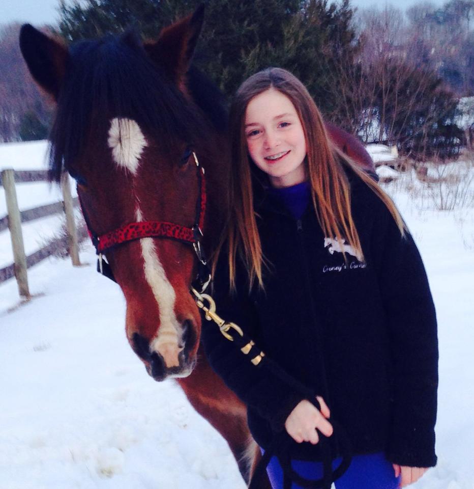 PONIES FOR LEASE Morning Side Stables