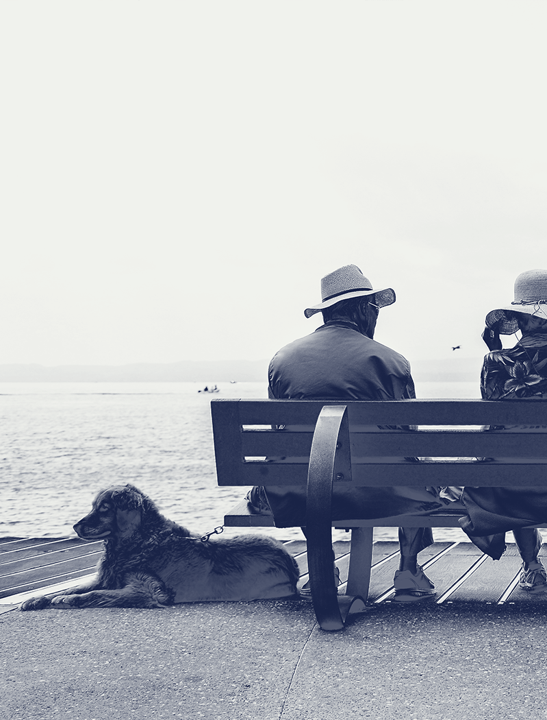 FAQ Morning Sun Financial Services