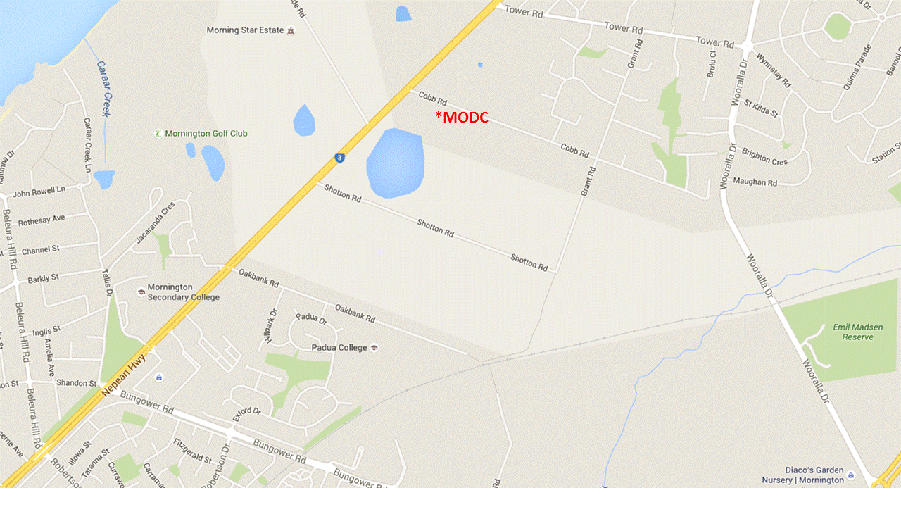 Join Us Mornington Obedience Dog Club