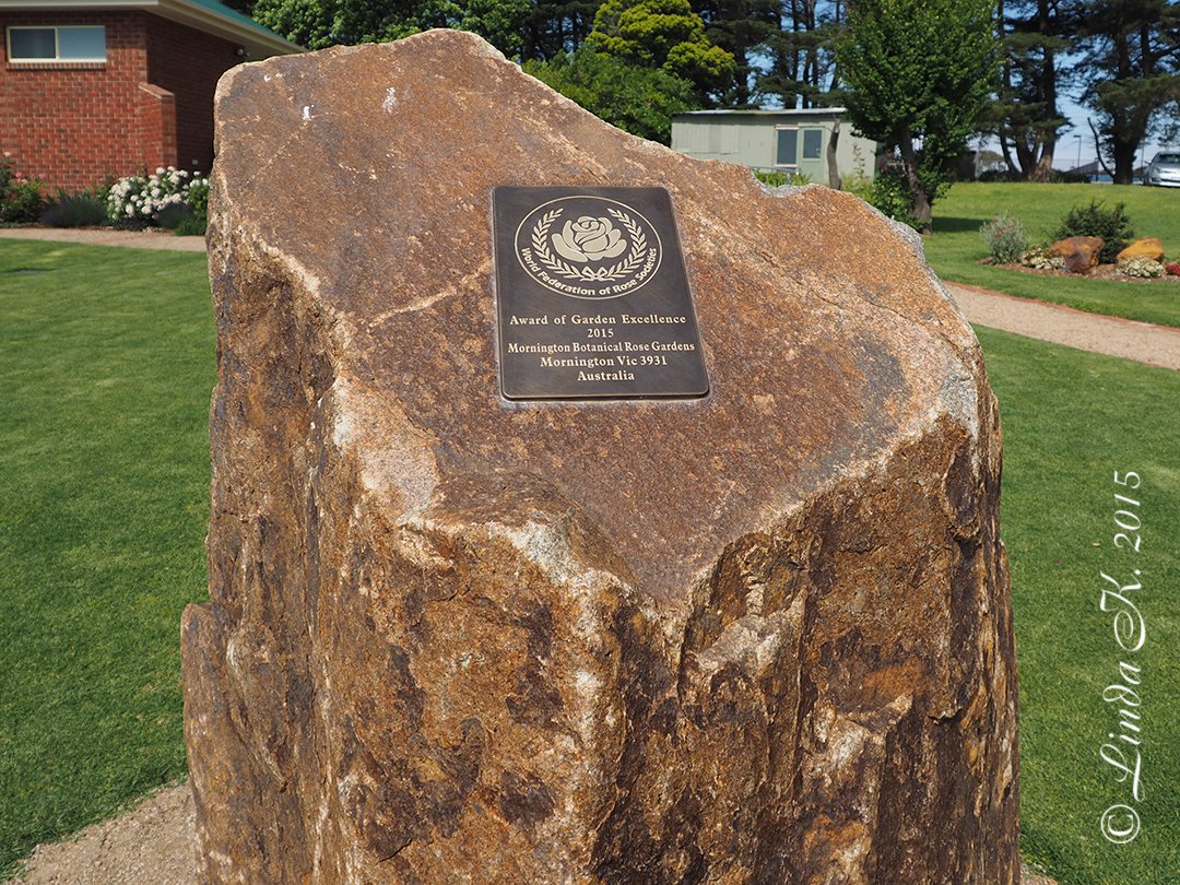 History Mornington Botanical Rose Gardens