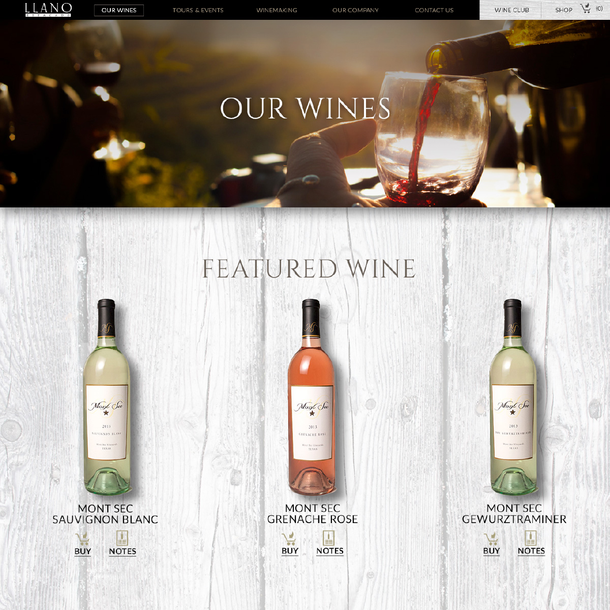 Llano Estacado Moroch Partners