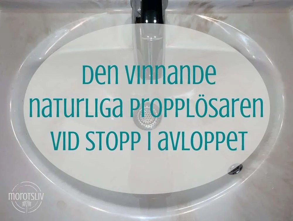 Bästa giftfria propplösaren mot stopp i avloppet • Morotsliv