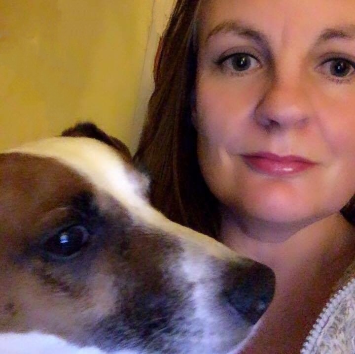 Home Morpeth Mutts Dog Walking Service