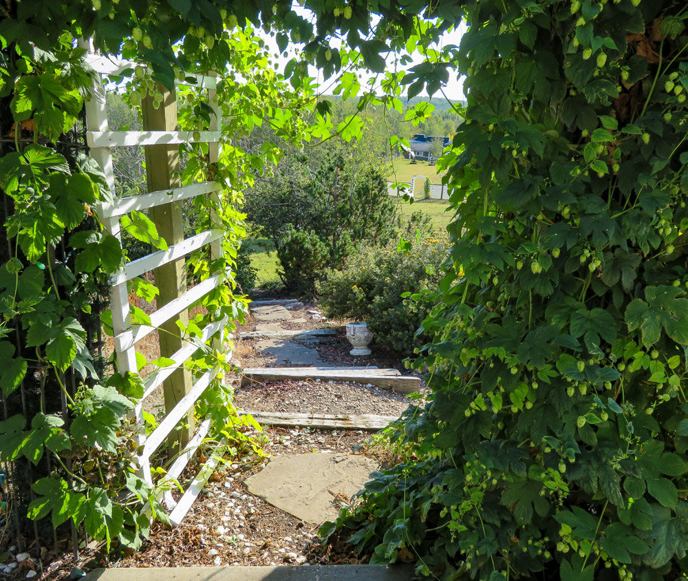 Facility Photos Morris Meadows