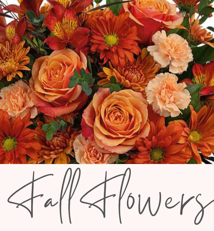 Williamsburg Florist Flower Delivery by Morrison's Flowers & Gifts