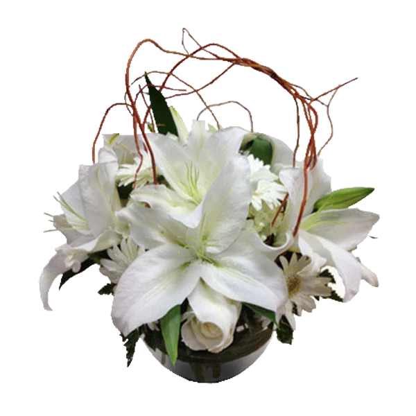 Sheltered Whites Flower Delivery by Morrow Florist
