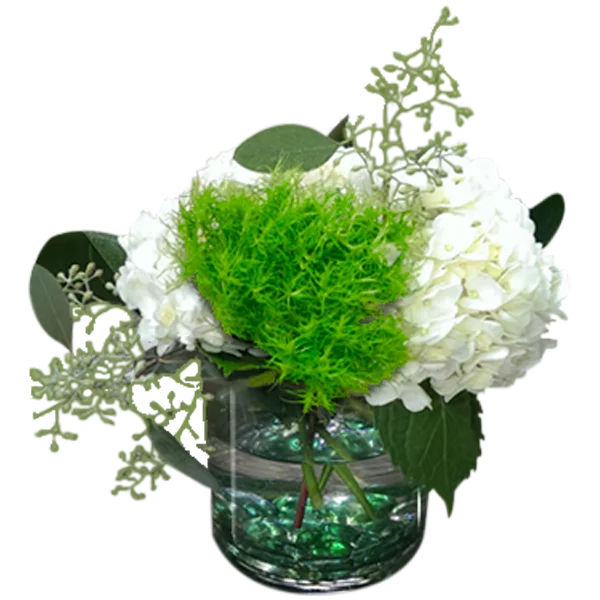 Top o' the Morning Flower Delivery by Morrow Florist