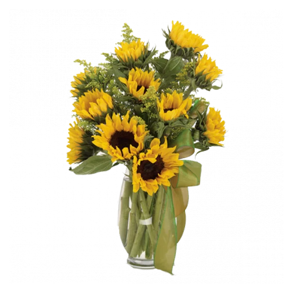 Morrow Florist, Clayton County Flower Delivery, 7709617066
