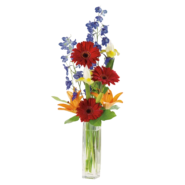 Morrow Florist, Clayton County Flower Delivery, 7709617066