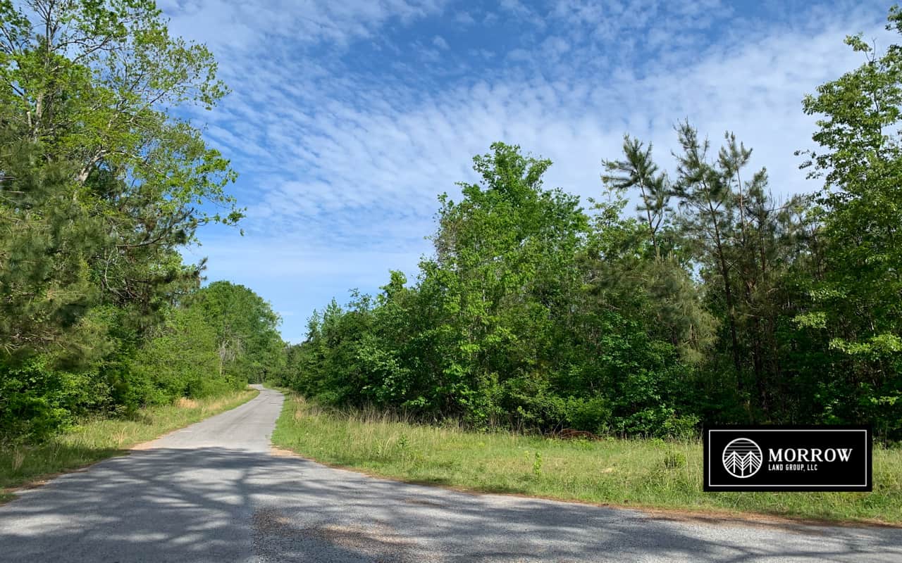 Beauregard Parish Archives Morrow Land Group