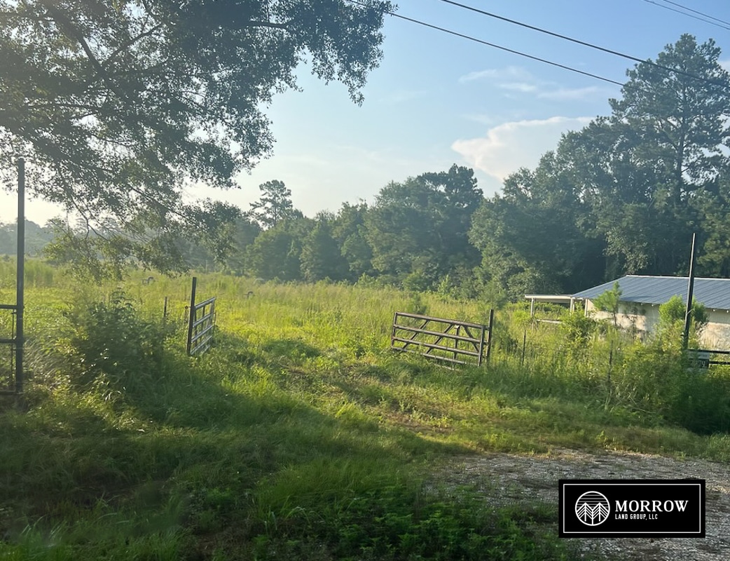 Land for Sale Morrow Land Group, LLC