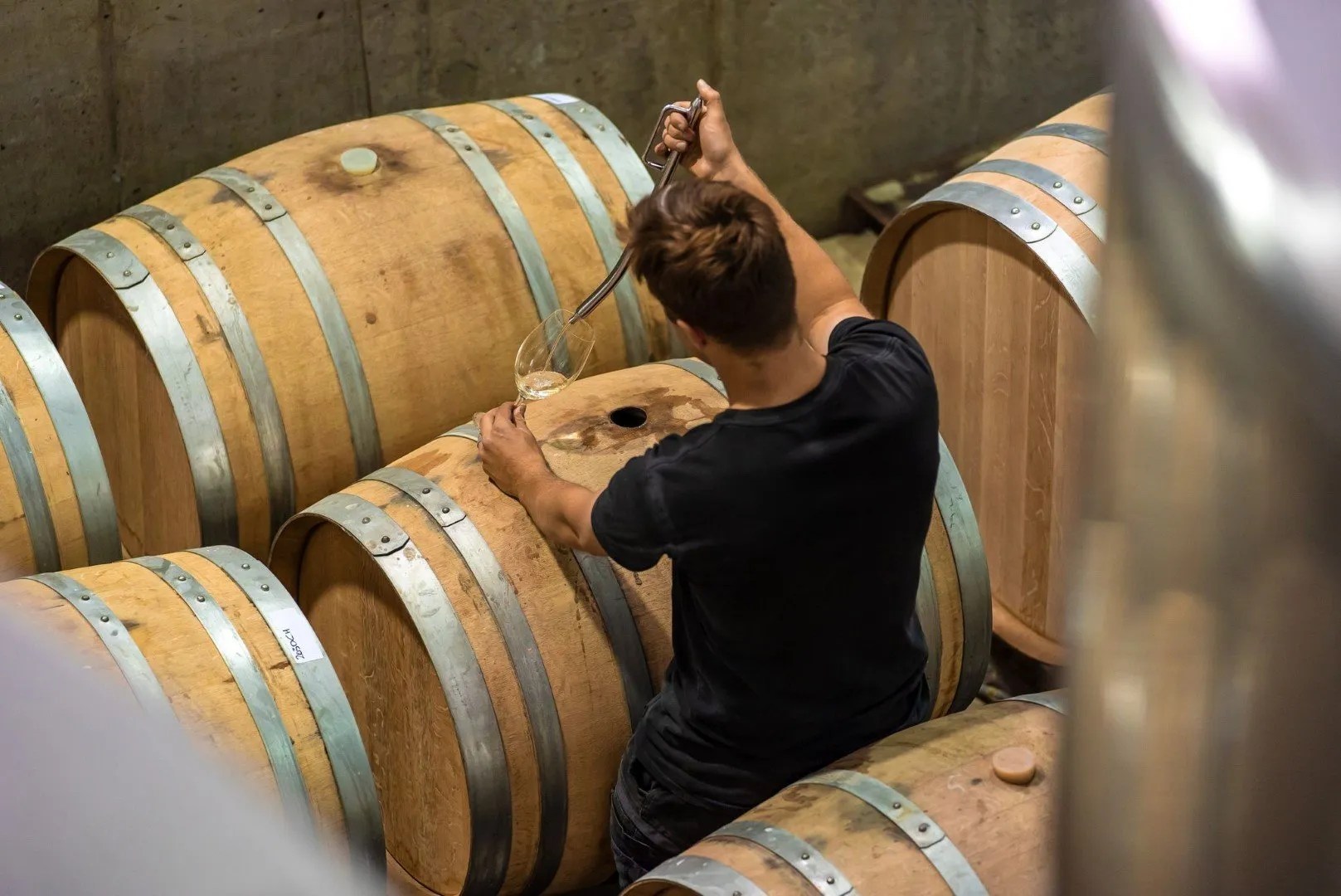 News Journey Through Australia’s Largest Wine Region with Realm of Riesling Morsels & The