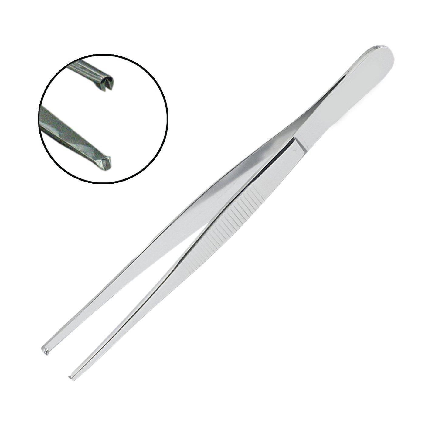 1 x 2 Tooth Tissue Forceps