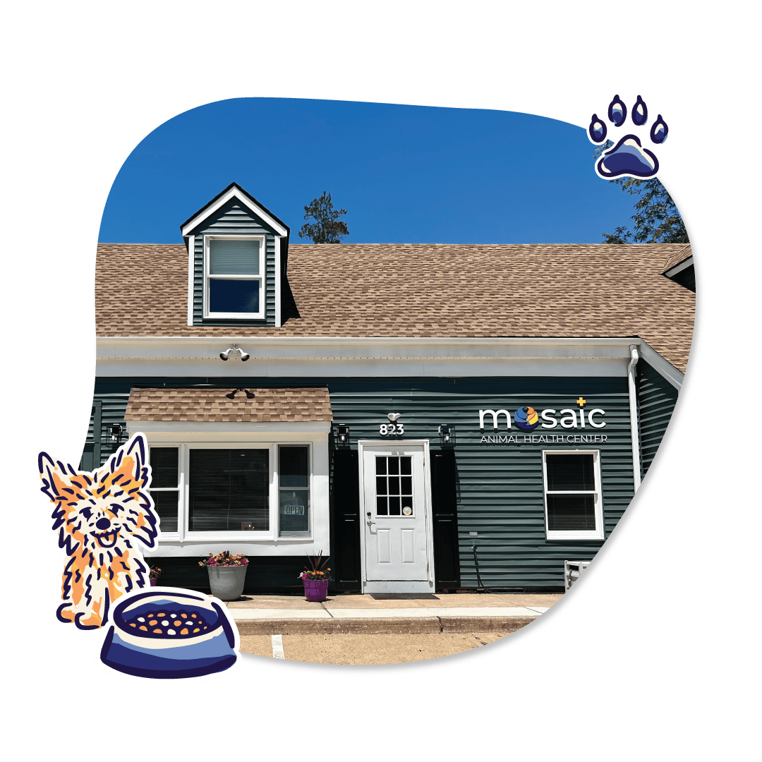 About Us Mosaic Animal Health Center Fair Haven