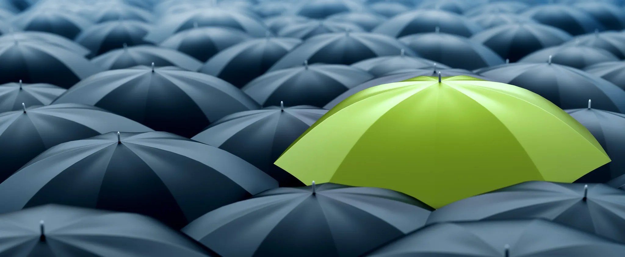 Moseley Flint compared Moseley Real Estate Schools