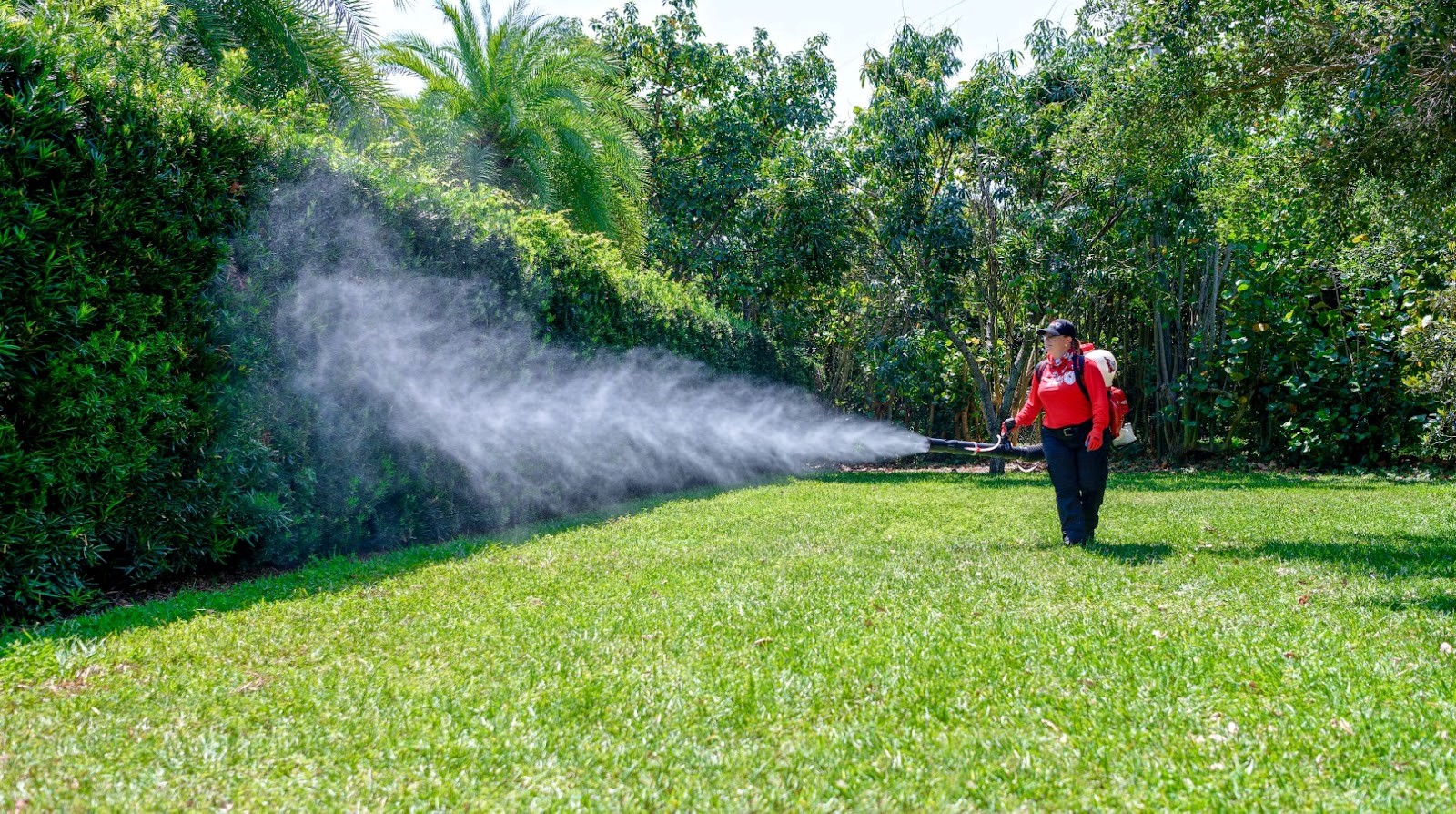 About Us Mosquito Shield of Southern NJ