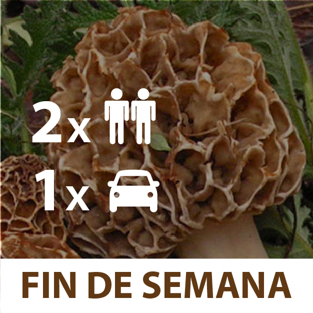 1 Vehículo x 2 Personas x Fin de Semana Permiso recogida de Setas de